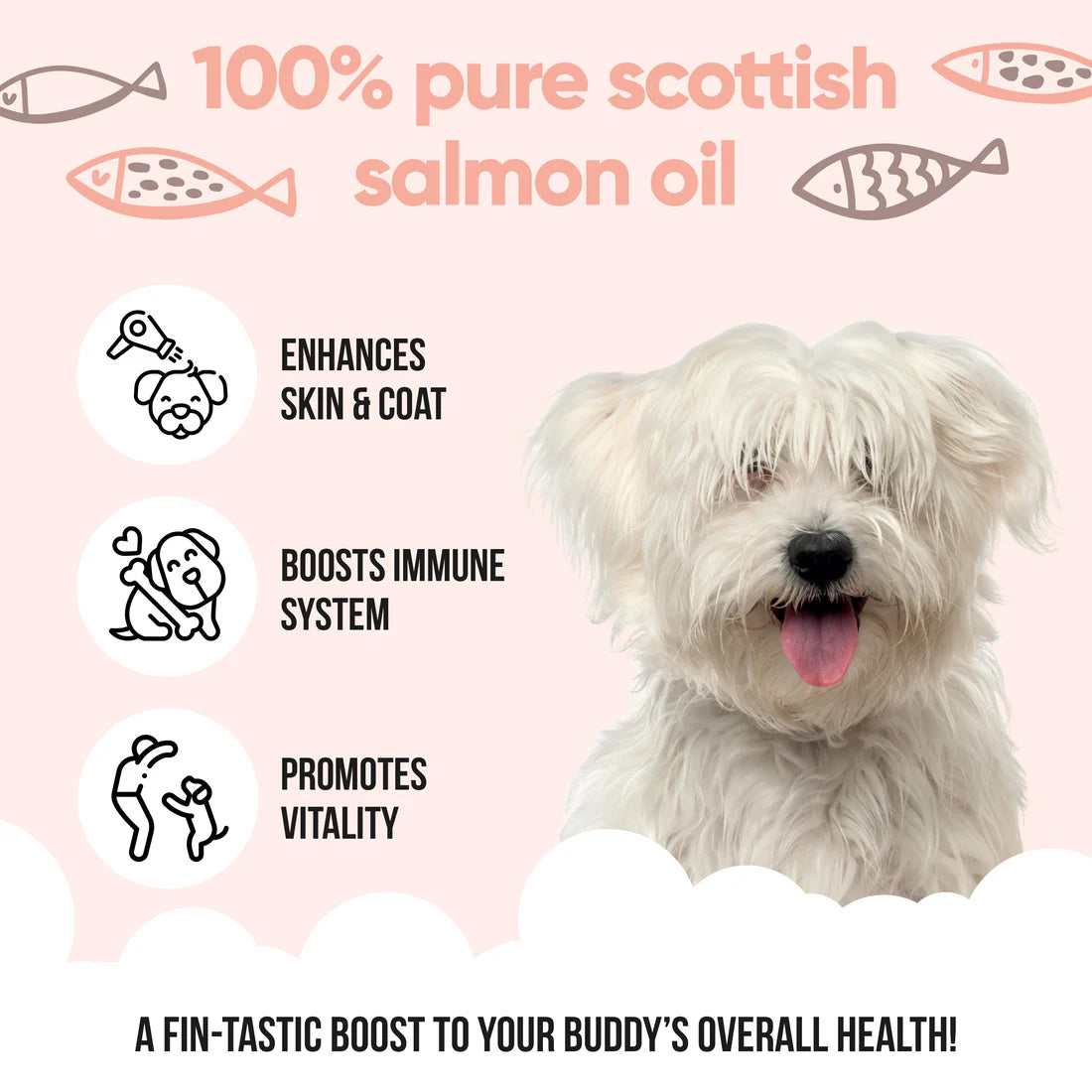 Buddy Care Scottish Salmon Oil for Dogs & Cats