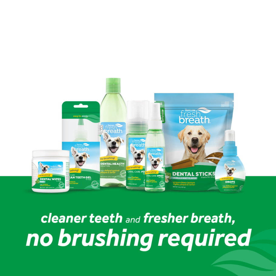 Dental Sticks for Large Dogs