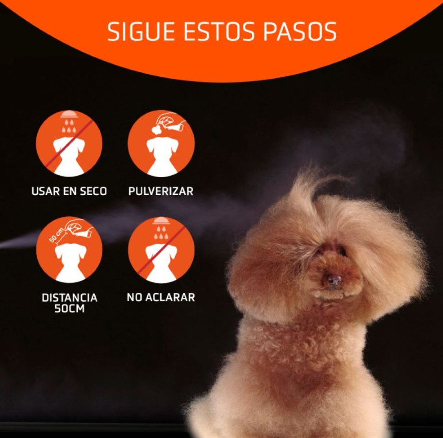 Artero Champú en seco Speed 300ml - Mascotito PR