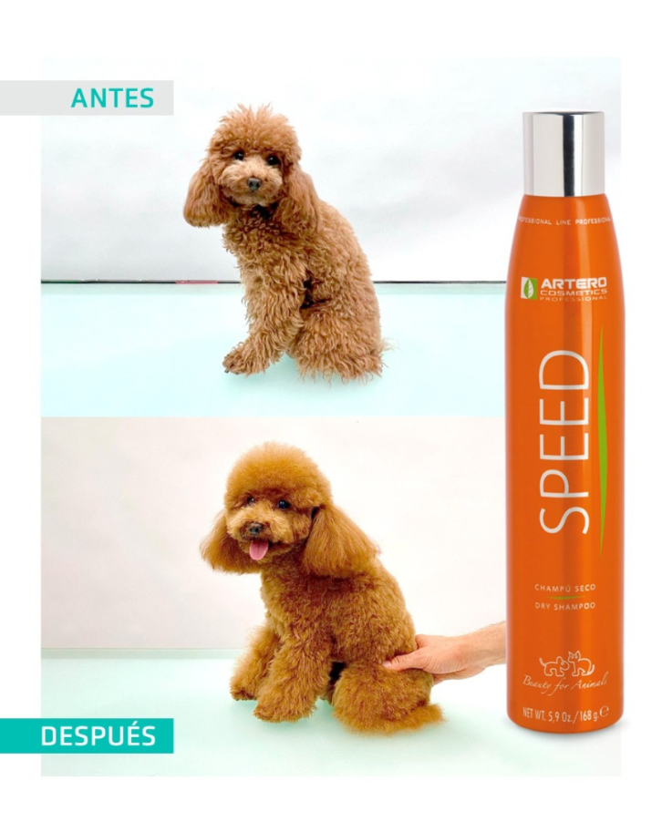 Artero Champú en seco Speed 300ml - Mascotito PR