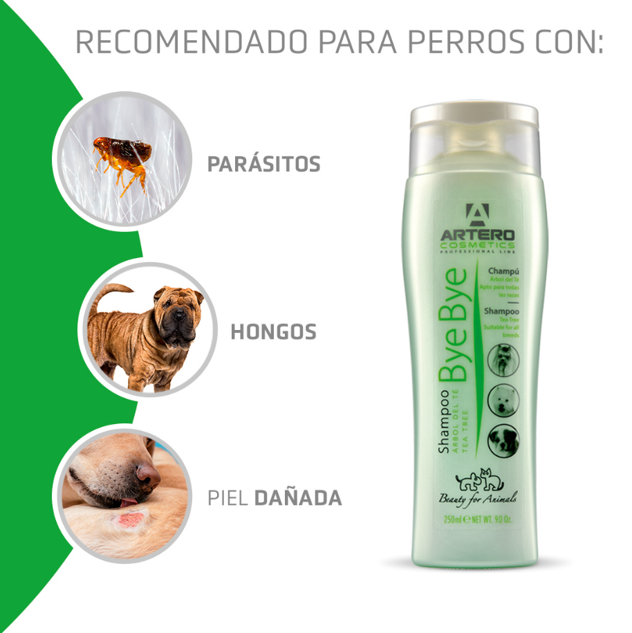 Artero Champú Bye Bye 100ml