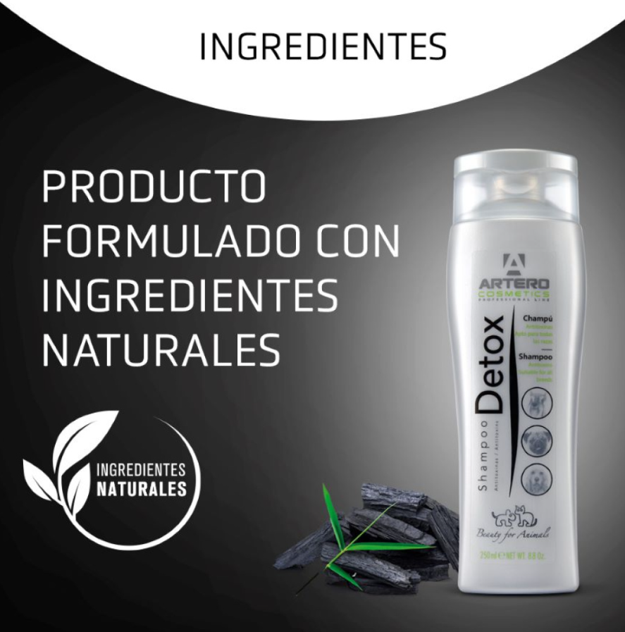 Artero Champú Detox 100ml
