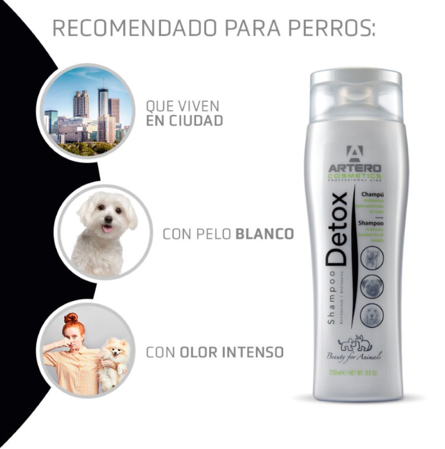 Artero Champú Detox Carbón Activo - Mascotito PR