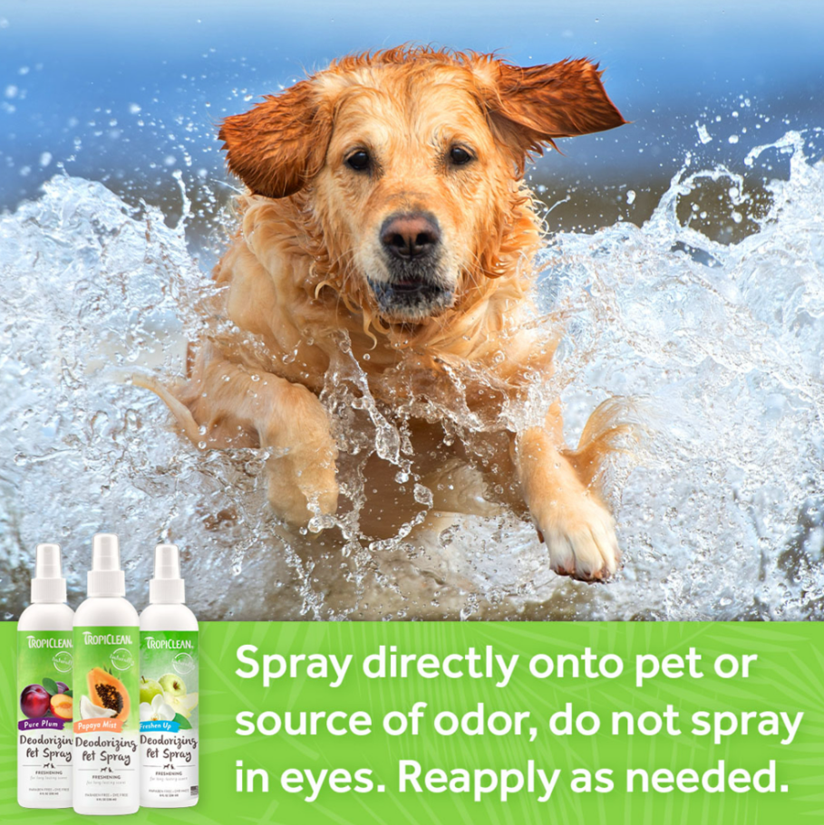 Kiwi Blossom Deodorizing Pet Spray - Mascotito PR