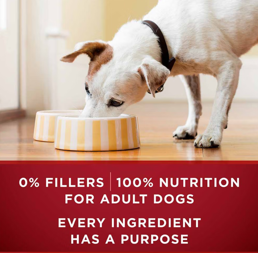 Purina ONE True Instinct Classic Ground Grain-Free Wet Dog Food Formula With Real Beef & Wild-Caught Salmon