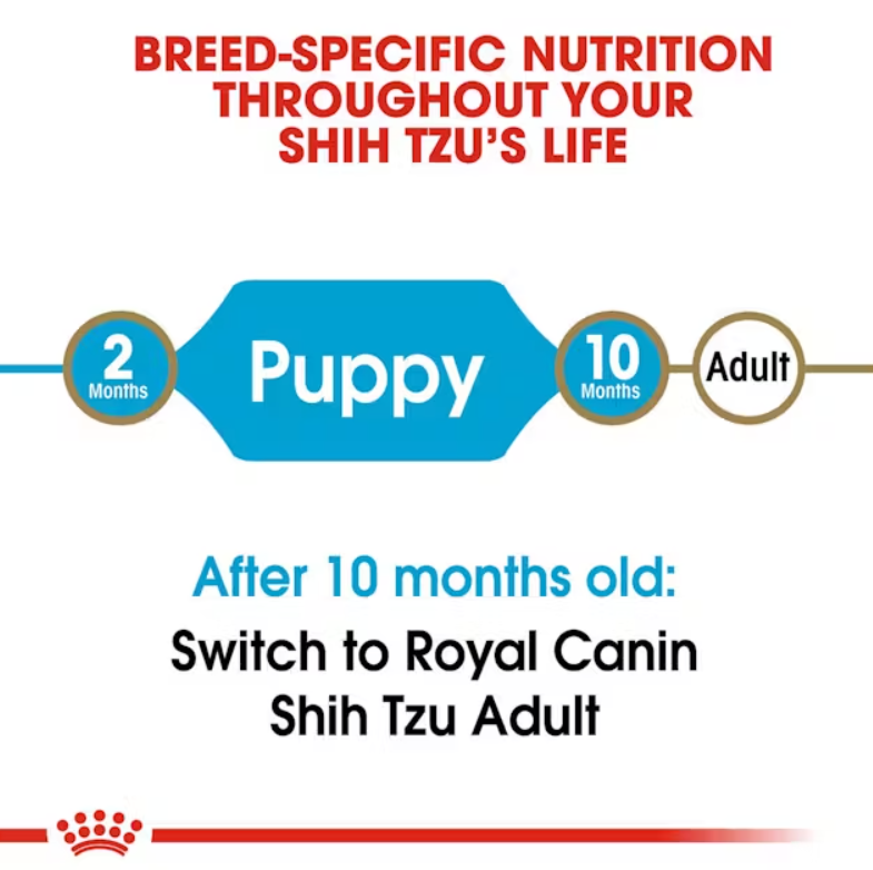 Shih Tzu Puppy Dry Dog Food
