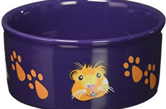 Paw Print Guinea Pig Bowl