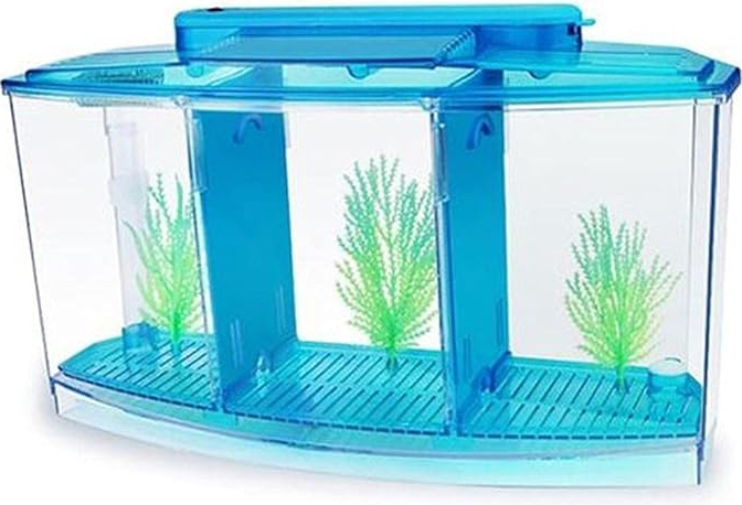 PiniceCore 1pc Acrylic Three Splits Betta Fish Tank Triple Bow Fighting Isolation Breed Box