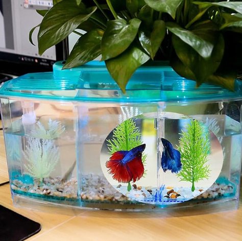 PiniceCore 1pc Acrylic Three Splits Betta Fish Tank Triple Bow Fighting Isolation Breed Box