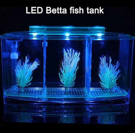 PiniceCore 1pc Acrylic Three Splits Betta Fish Tank Triple Bow Fighting Isolation Breed Box