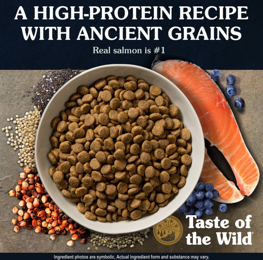 Ancient Stream Canine Recipe with Smoke-Flavored Salmon