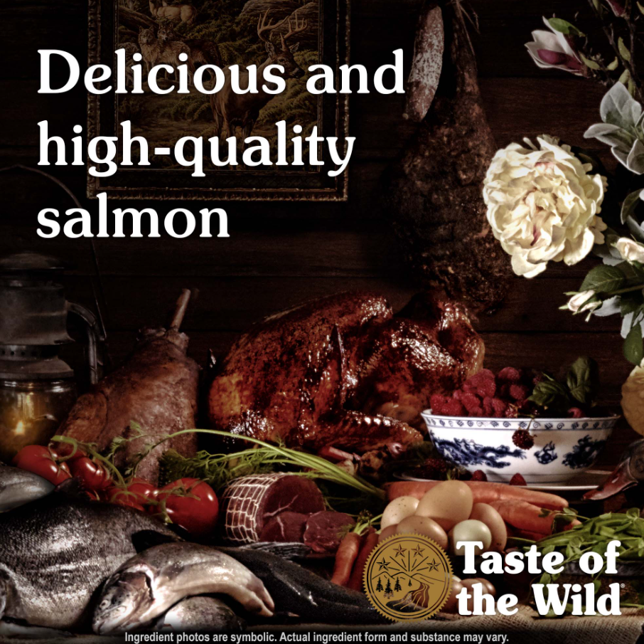 Ancient Stream Canine Recipe with Smoke-Flavored Salmon
