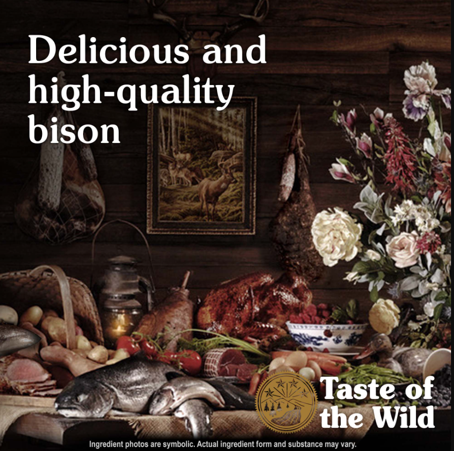 High Prairie Canine Recipe with Bison in Gravy