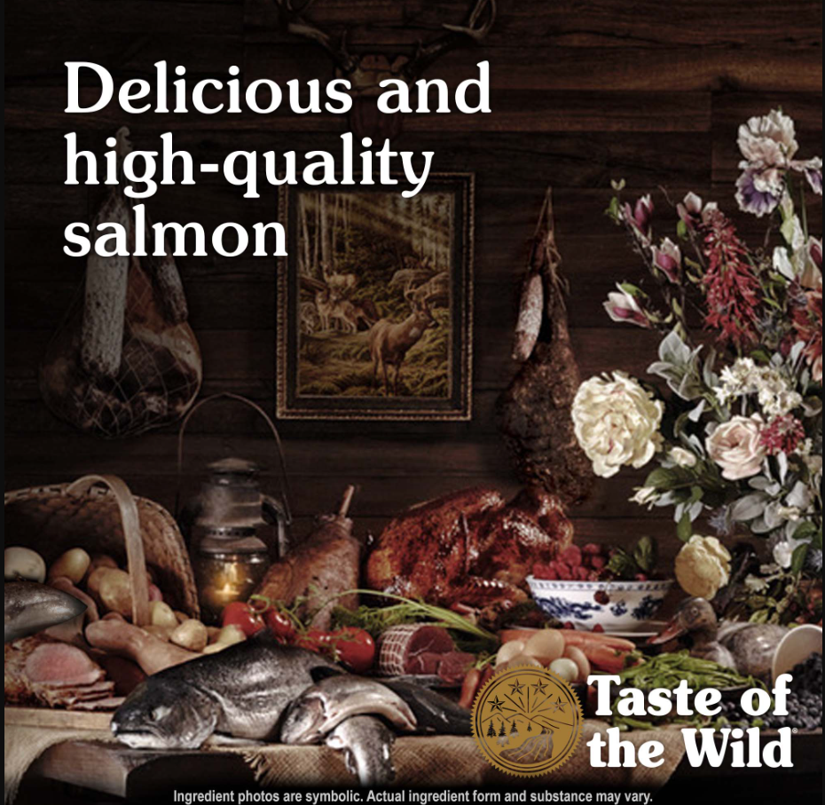Pacific Stream Canine Recipe with Salmon in Gravy