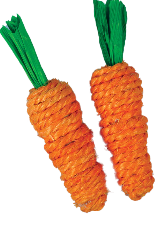 Loofah Carrots