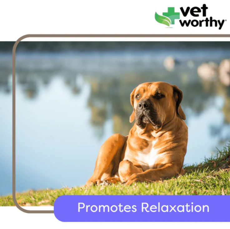 Calming Liver Flavored Tablets for Dog 45ct