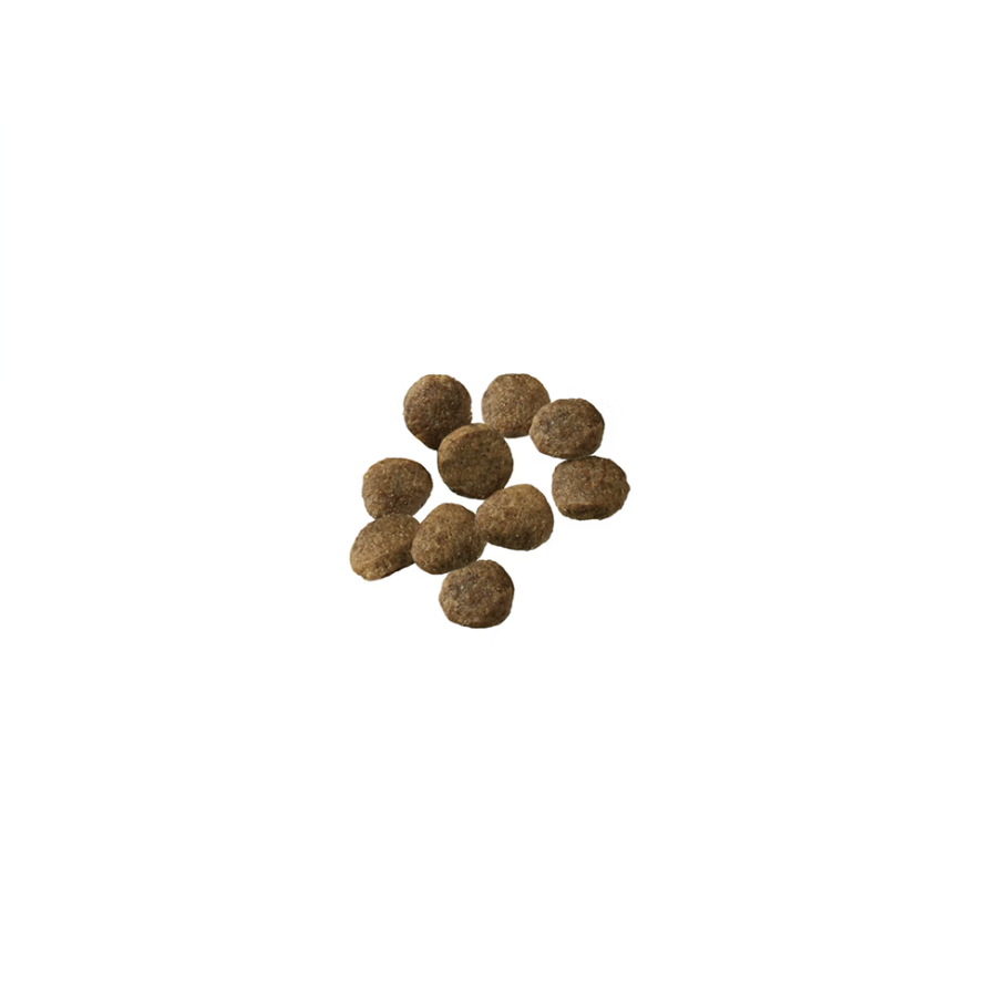 Pro Plan Puppy Sensitive Skin & Stomach Salmon & Rice Formula Dry Dog Food