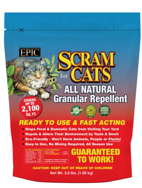 SCRAM CATS