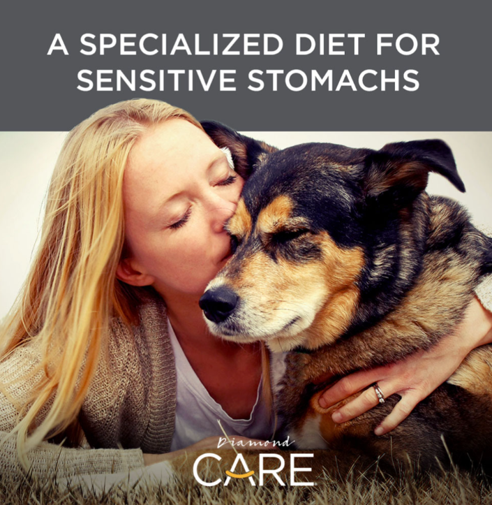 SENSITIVE STOMACH FORMULA FOR ADULT DOGS 8lbs