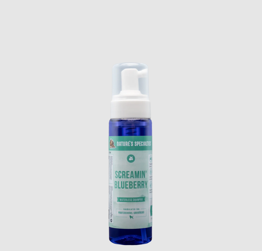 NS SCREAMIN BLUEBERRY WATERLESS FOAM