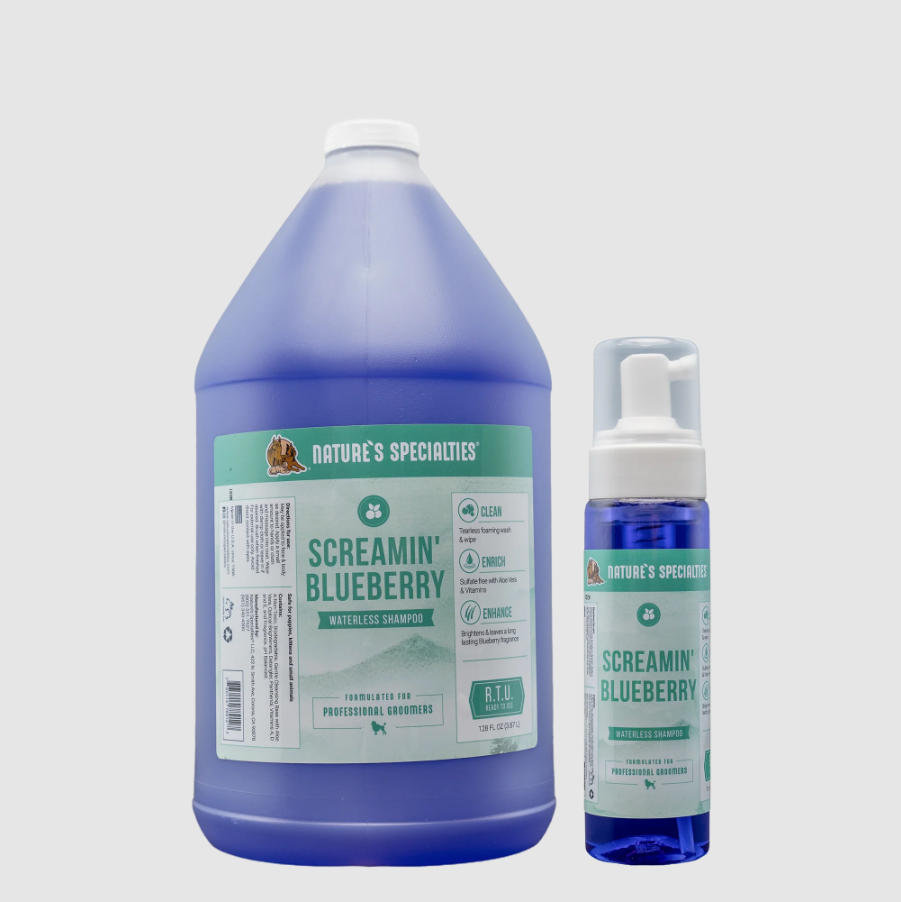 NS SCREAMIN BLUEBERRY WATERLESS FOAM