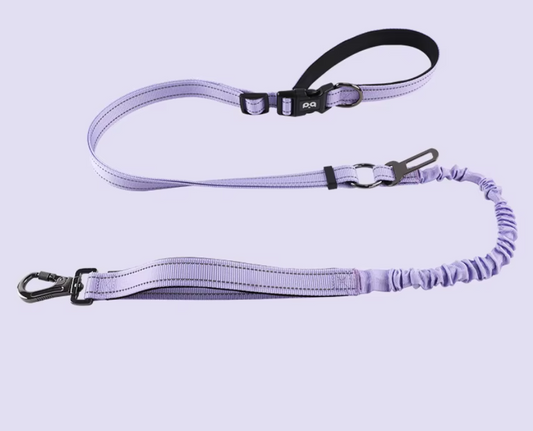 Lavender Lilac Retractable Leash 6 en 1 Sport