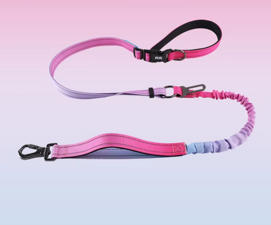 Love Potion Retractable Leash 6 en 1 Sport