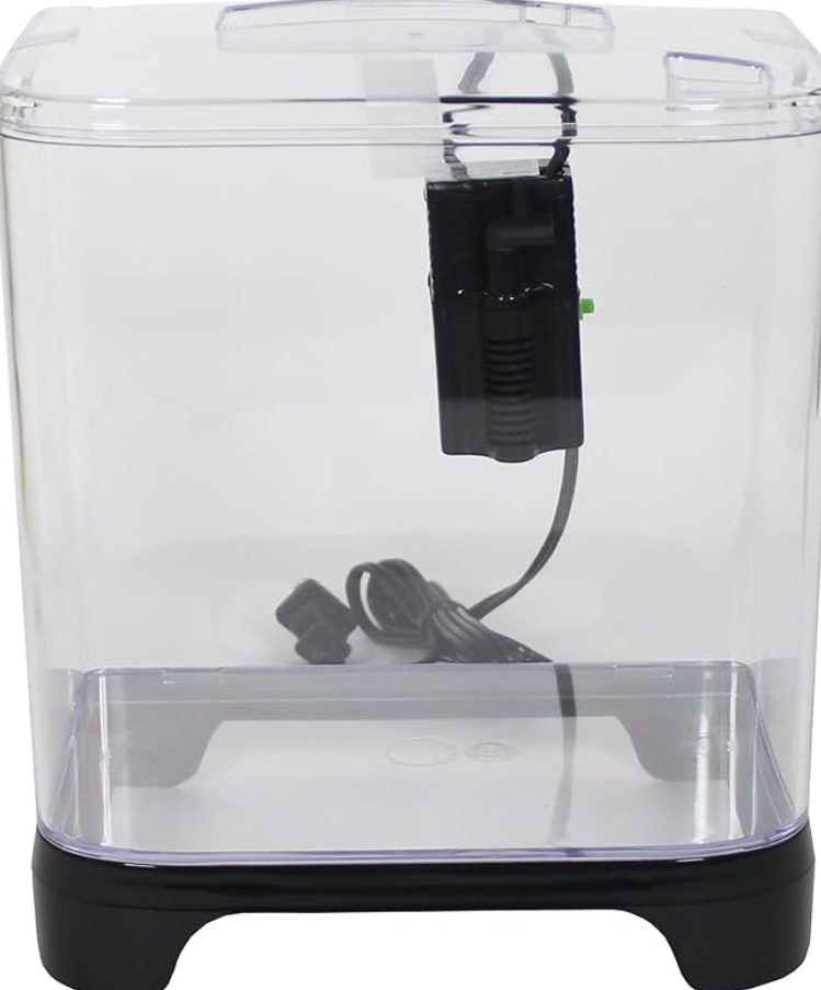 Spongebob Squarepants Starter Kit with 1.5 Gallon Tank