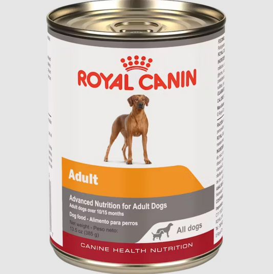 Adult In Gel Canned Dog Food