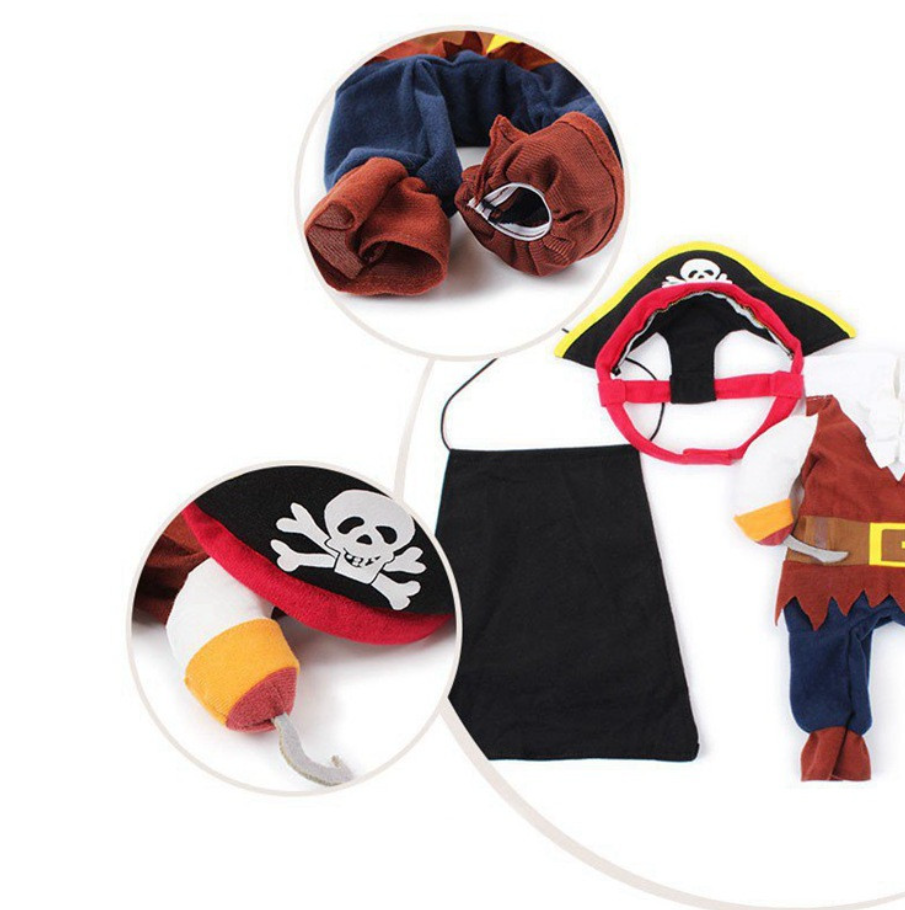 Pirate Cosplay