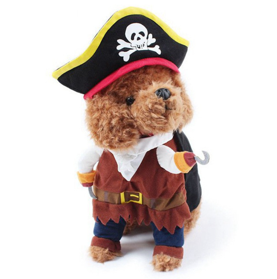 Pirate Cosplay