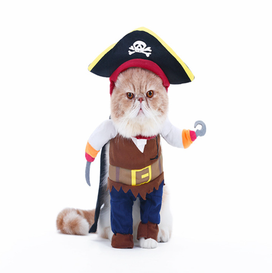 Pirate Cosplay