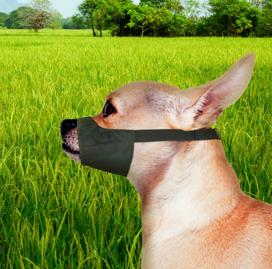 Four Paws Quick-Fit Dog Muzzle