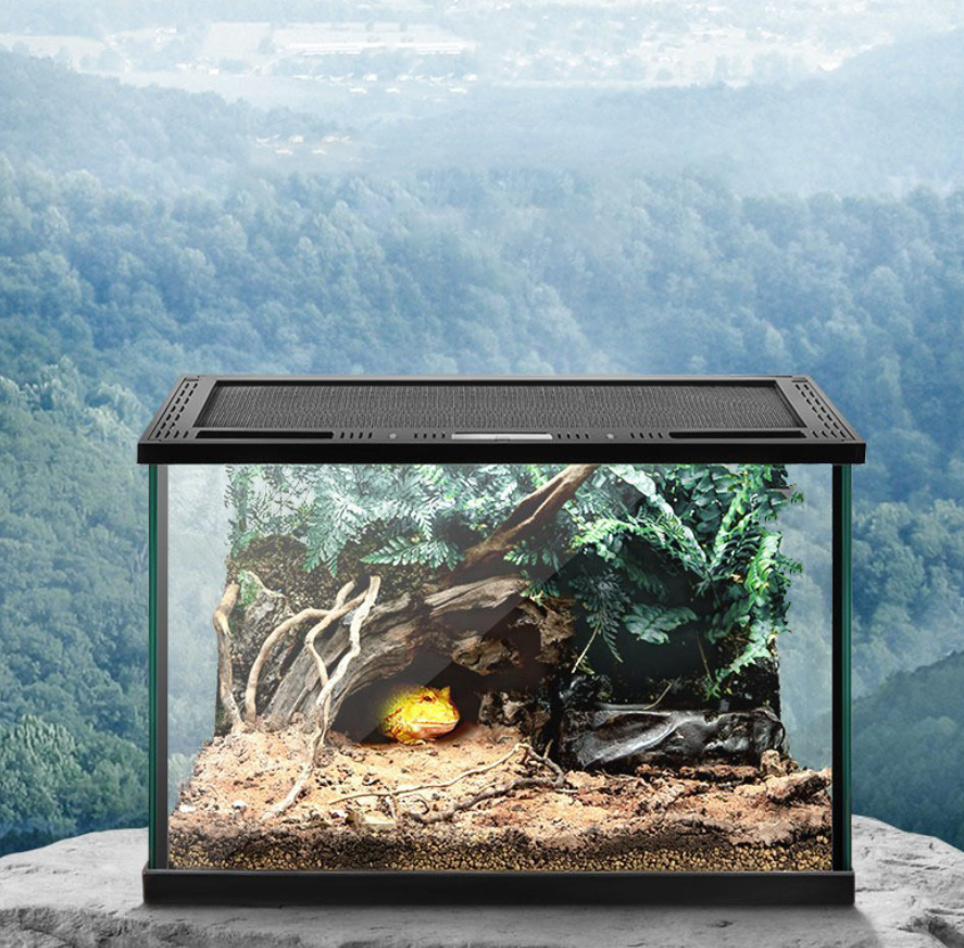 Reptile Tank