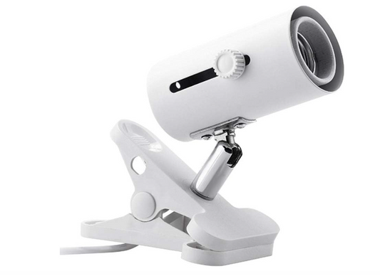 Reptile Lamp (Lampara)