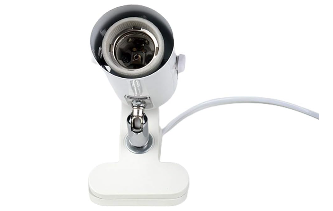 Reptile Lamp (Lampara)