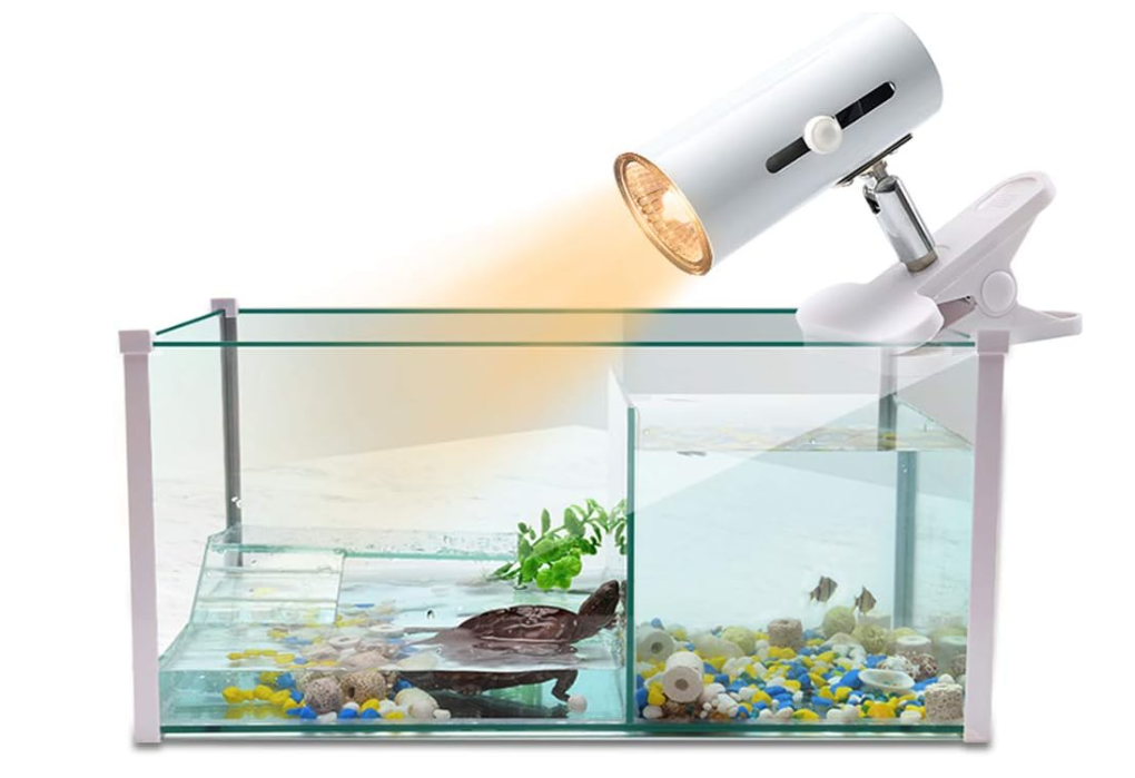 Reptile Lamp (Lampara)