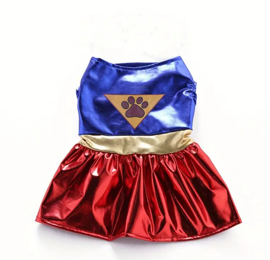 Super Paw Girl Costume