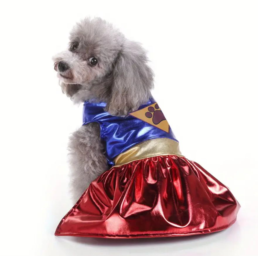 Super Paw Girl Costume