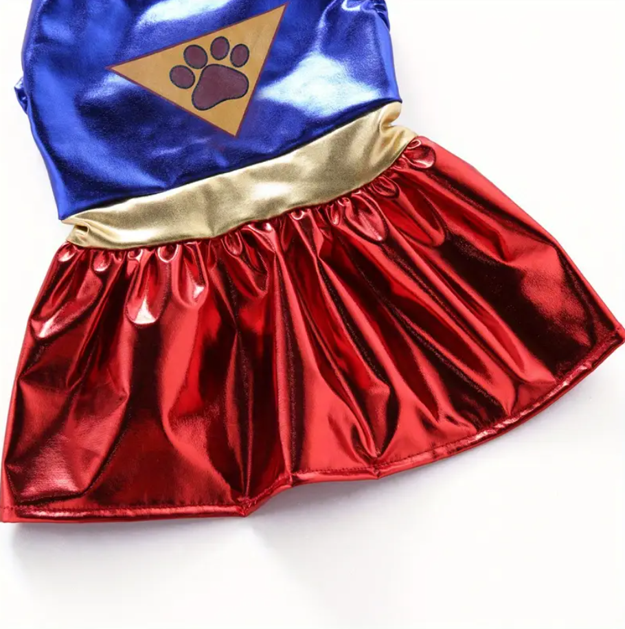 Super Paw Girl Costume