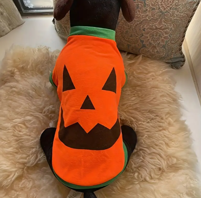 Pumpkin Dog Shirt
