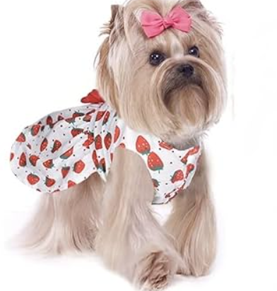 Strawberry  Dress for dogs