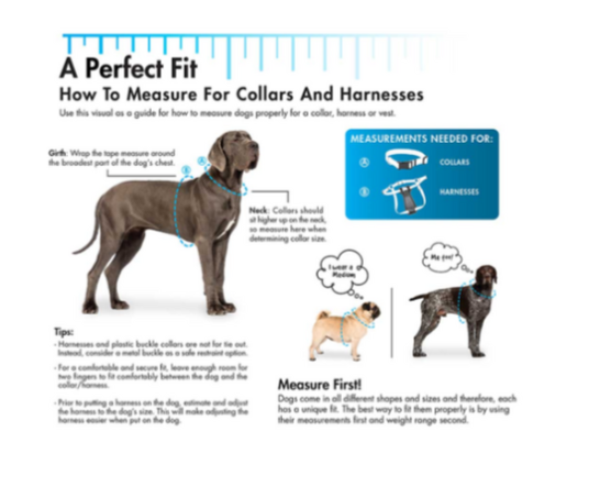 Titan Easy-On Prong With Buckle Training Dog Collar