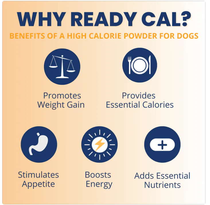 Ready Cal® High Calorie Powder for Dogs