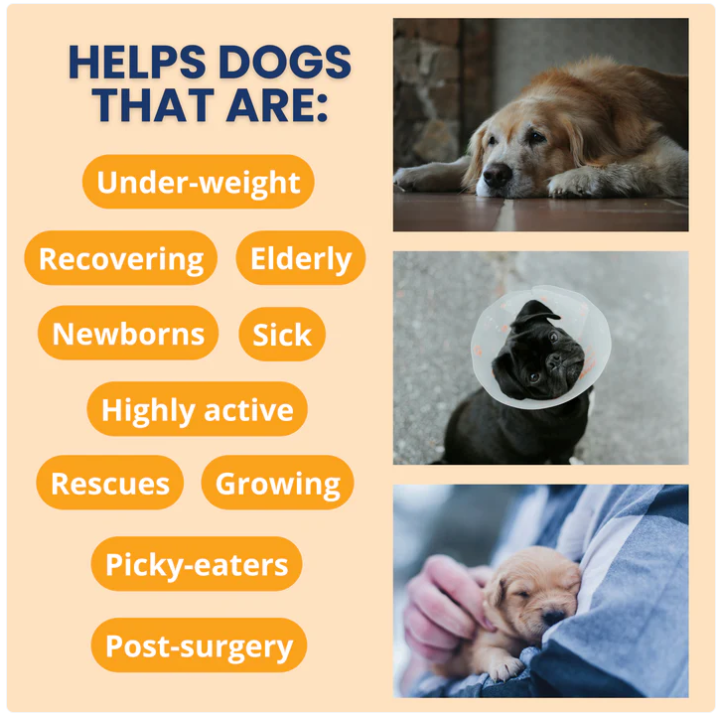 Ready Cal® High Calorie Powder for Dogs