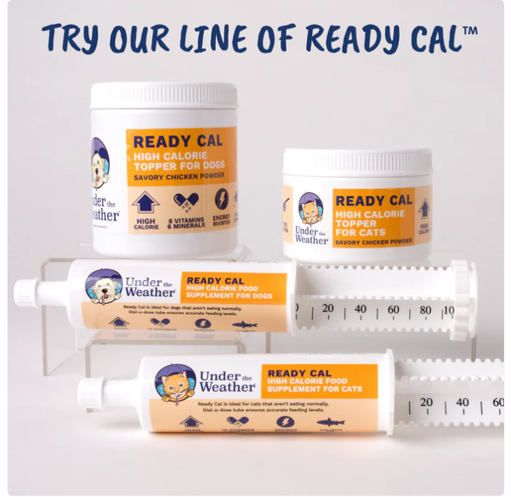 Ready Cal® High Calorie Powder for Dogs