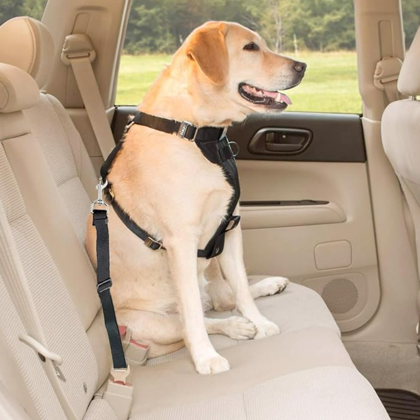 Oasispet  Auto Pet Seat / SafetyCinturon de Seguridad