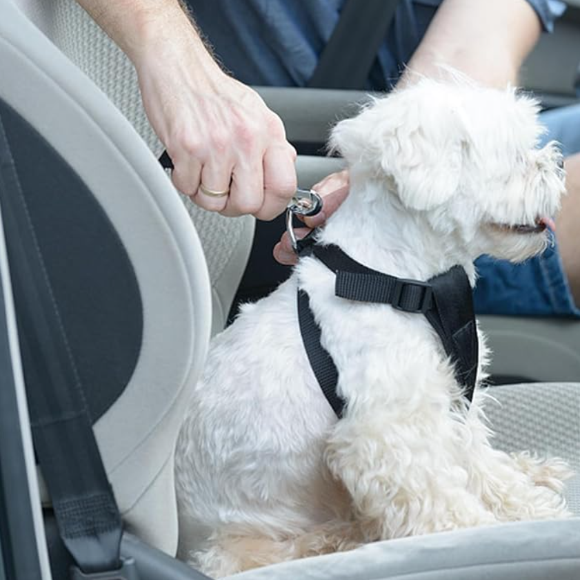 Oasispet  Auto Pet Seat / SafetyCinturon de Seguridad