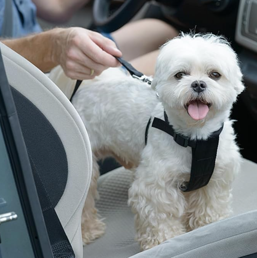 Oasispet  Auto Pet Seat / SafetyCinturon de Seguridad