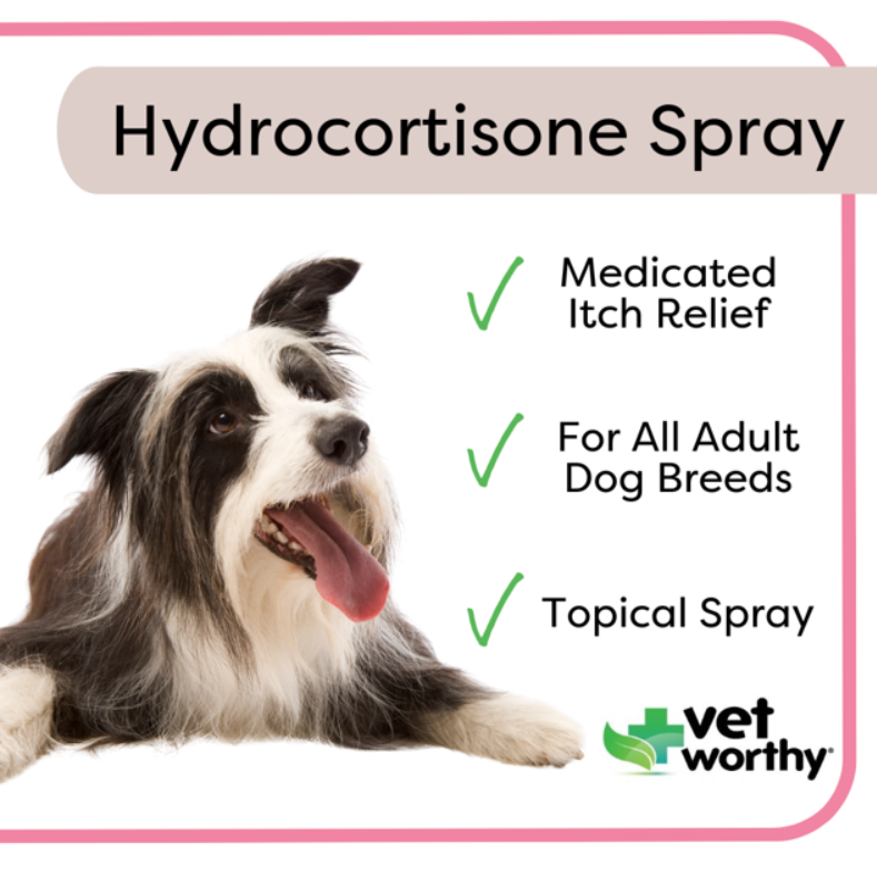 Vet Worthy Hydrocortisone Anti-Itch Spray for Dogs - 4 oz